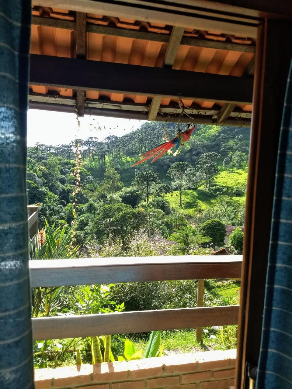 De Analuz Visconde De Maua